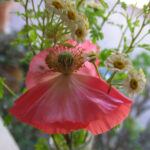 img4657