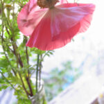 img4672