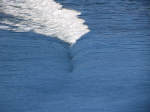 Wave ceiling santa barbara