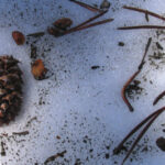 snow0624