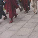 walking9536
